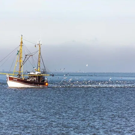 Nordseeferienhaus Tossens Iii بوتجادينغين