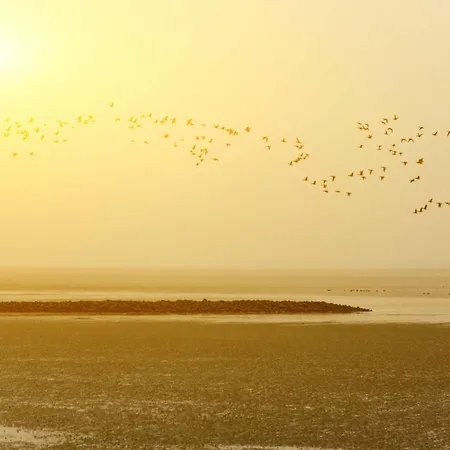 شقة Nordseeferienhaus Tossens Iii